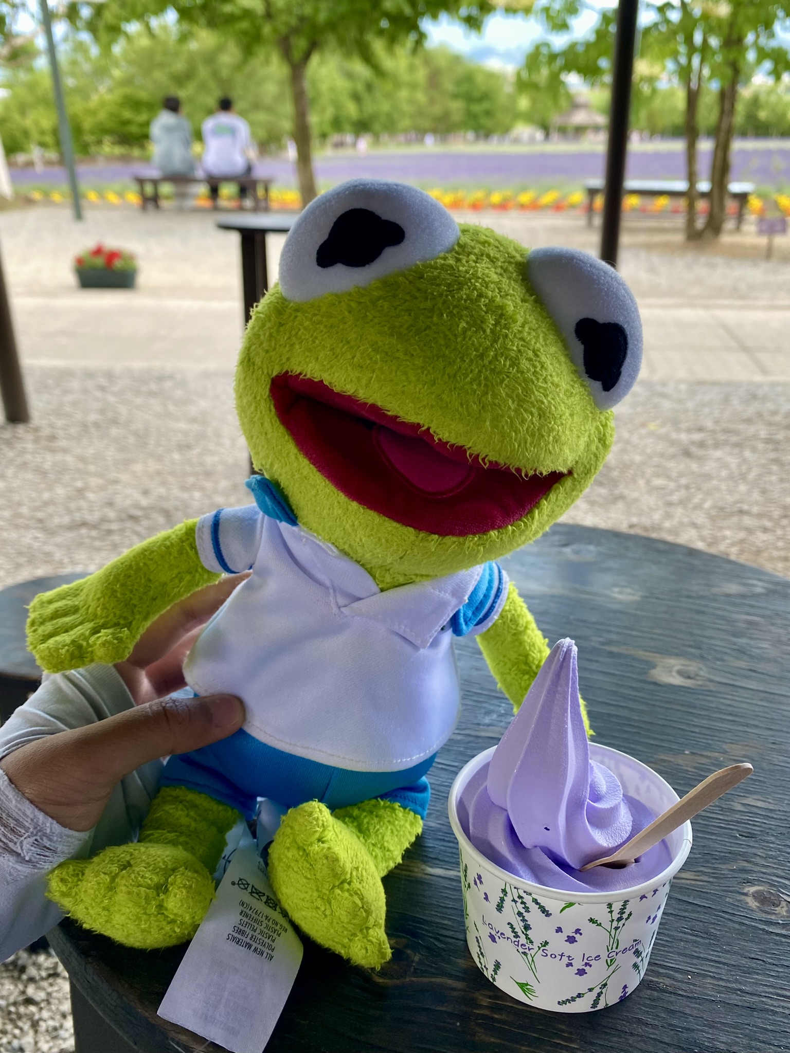 Kermit sitting next to a cup of pale, purple, lavendar-flavored soft-serve icecream.