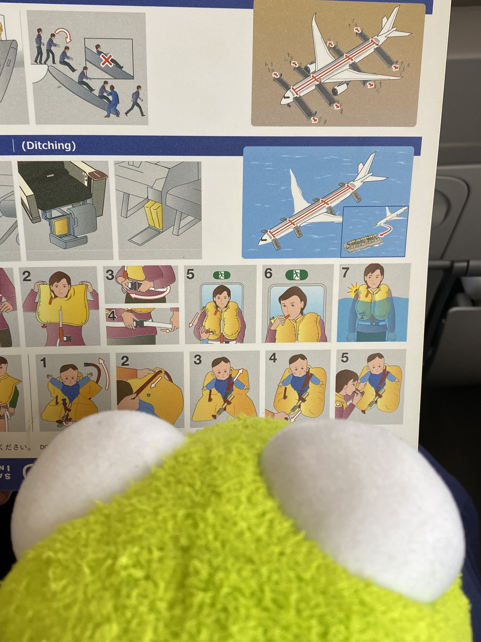 Kermit observing the flight safety card before take-off.