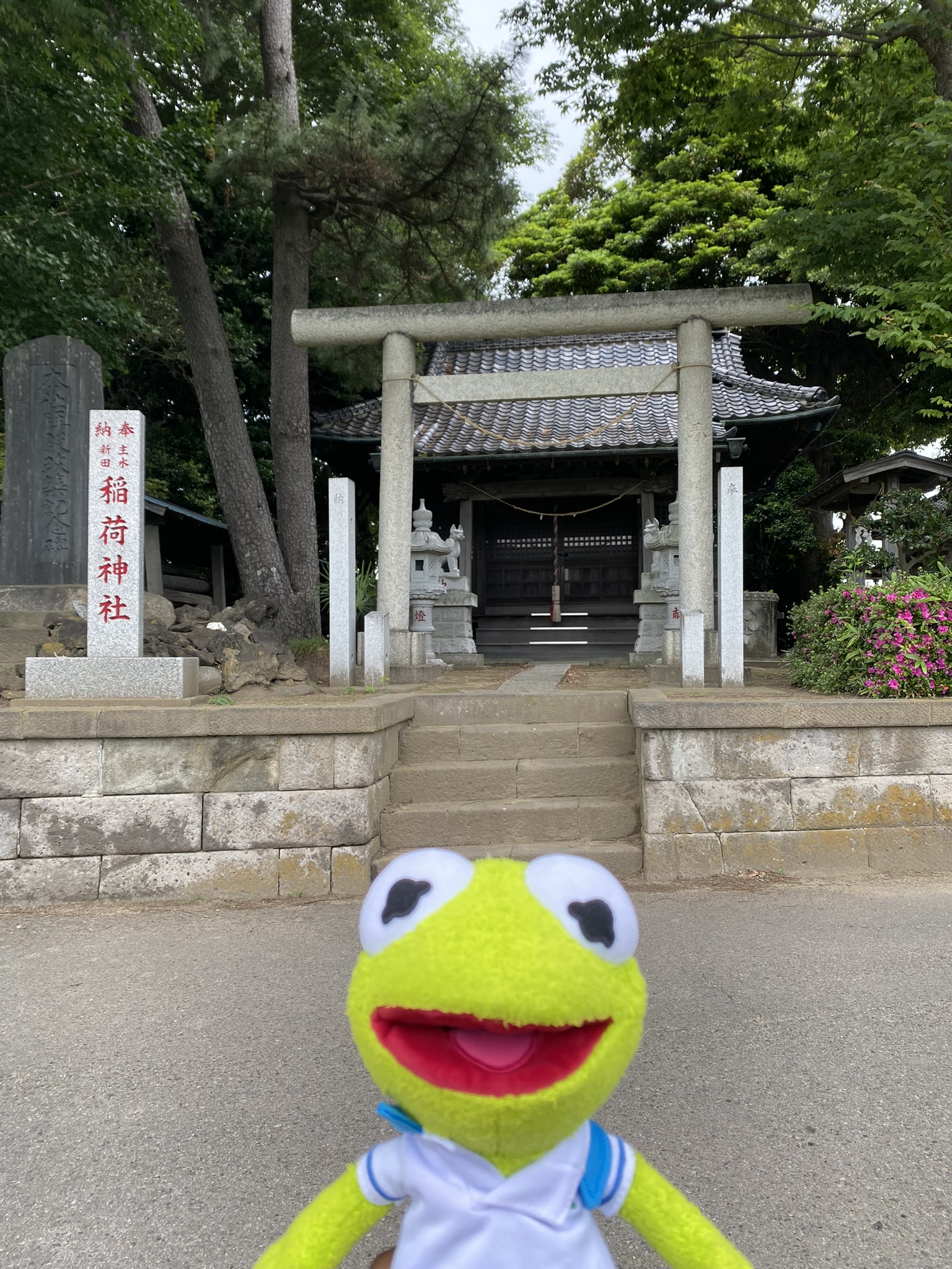 Kermit standing in front of something that looks similar to a shrine.