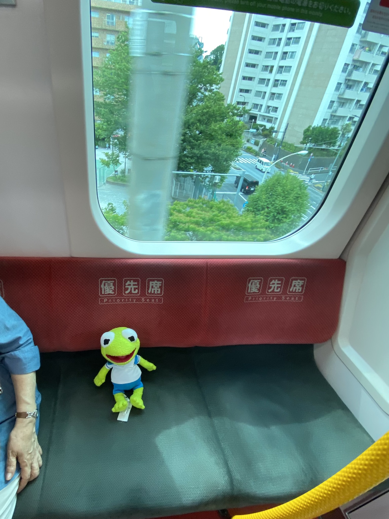 Kermit sitting in the 'Priority Seating' area of a train.