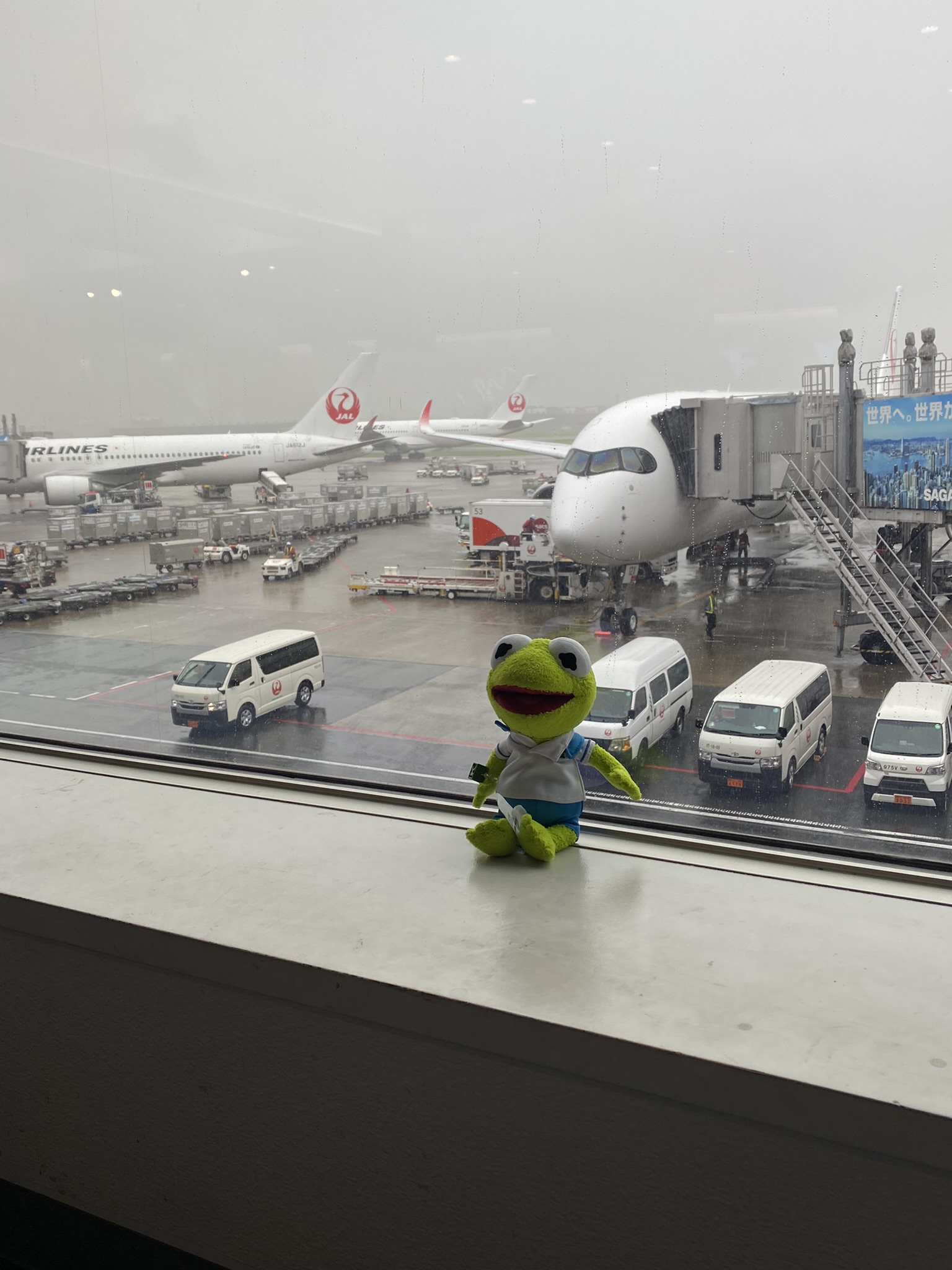 Kermit sitting by a windowsill with JAL planes behind him.