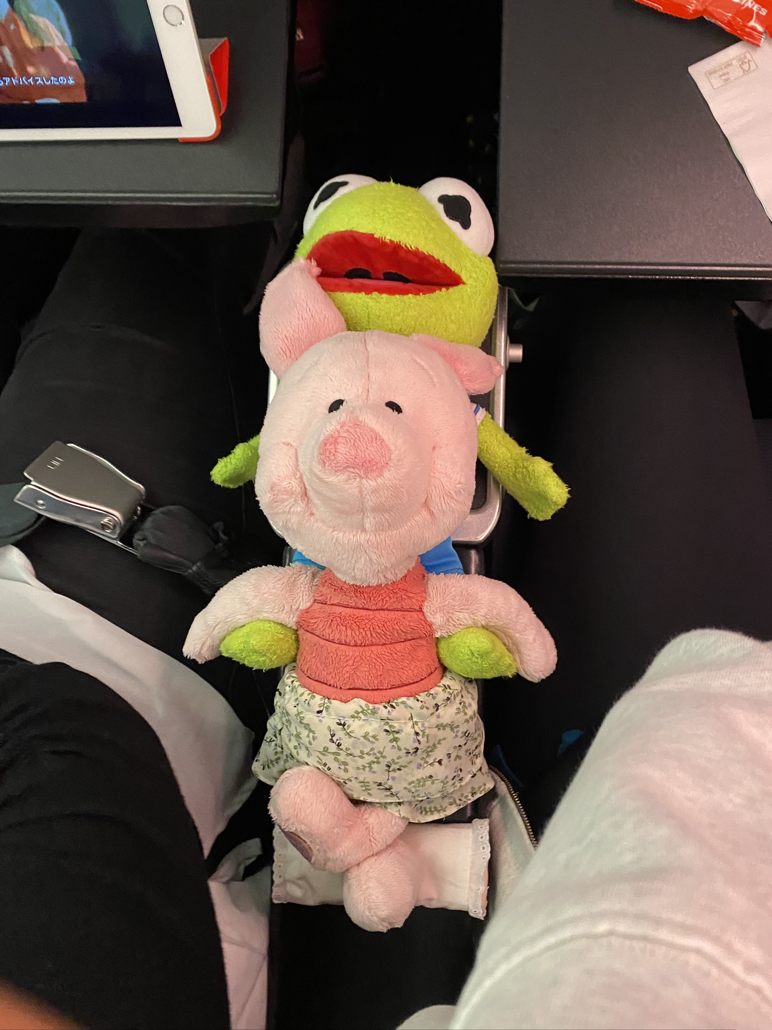 Kermit laying on his back on the armrest in an airplane. On Kermit's stomach, Piglet is laying his head while also lying on his back. Kermit's legs are wrapped around Piglet's sides and Piglet uses Kermit's feet as an arm rest.