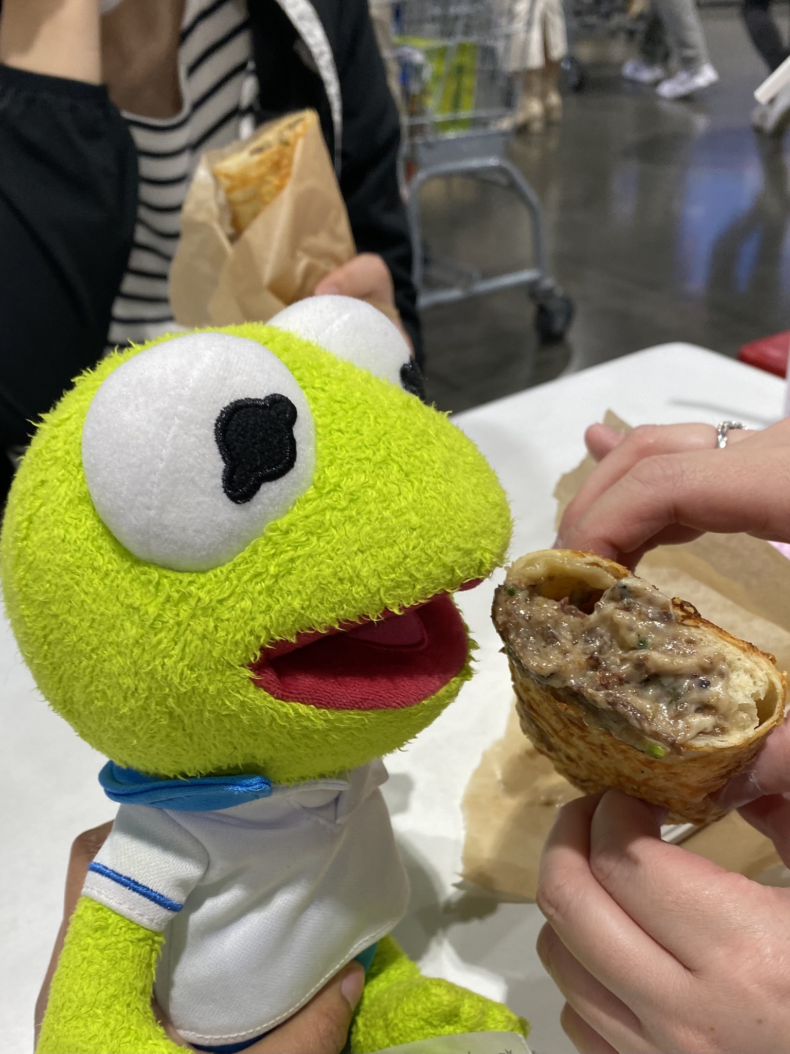 Kermit eating a bulgogi wrap at Costco.