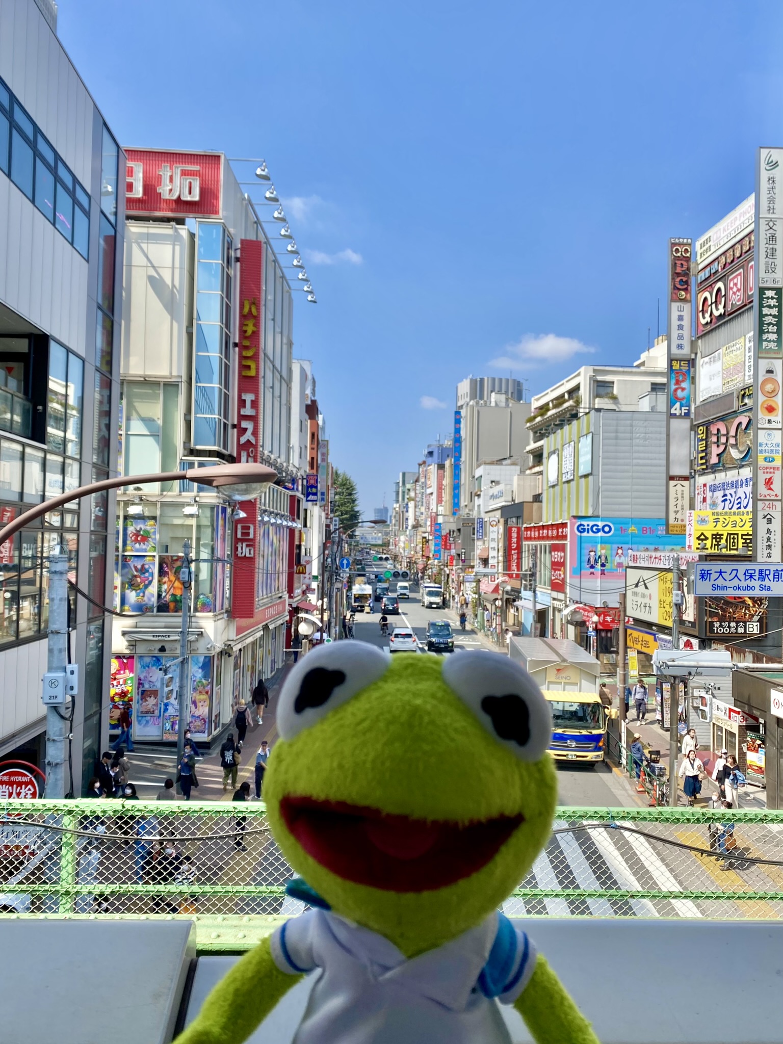 Kermit standing in front of a beautiful, city view of Shin-Okubo (AKA Korea Town).