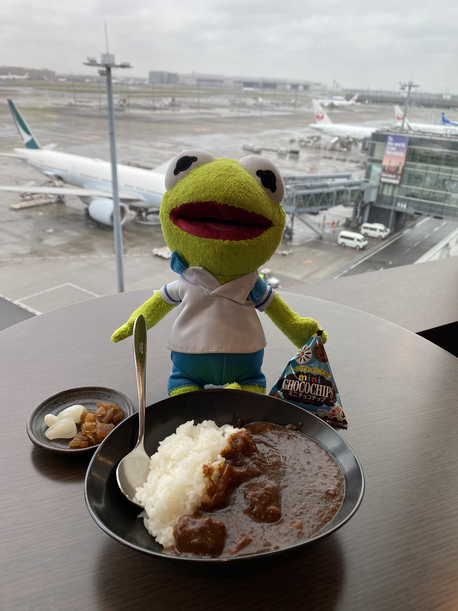 Kermit sitting next to a bowl of japanese brown curry rice and holding a pack of mini-cookies in his hand. He is sitting in front of a window that shows the airplanes preparing for boarding.