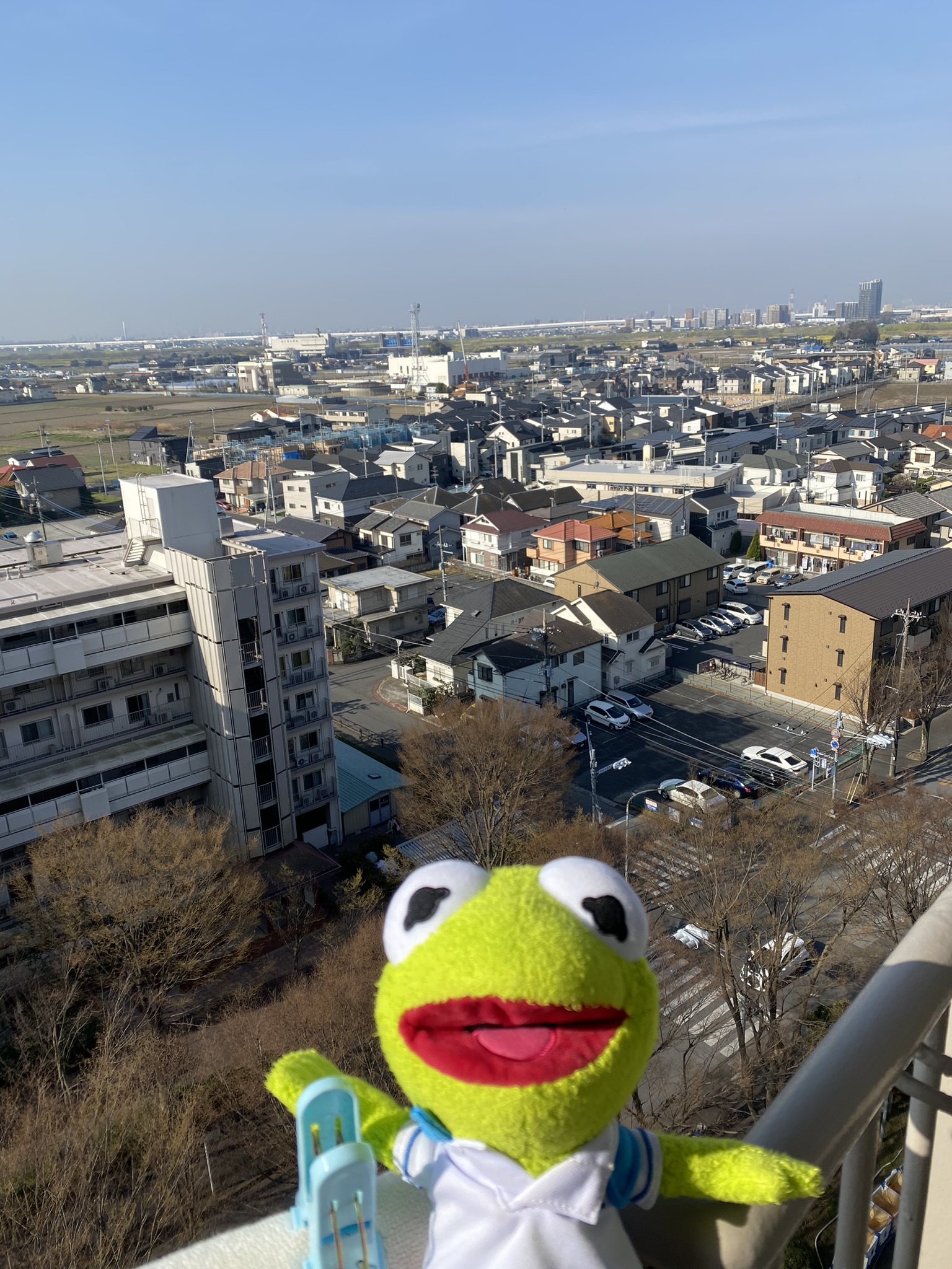 Kermit posing from a balcony in front of a beautiful view of suburban Japan.