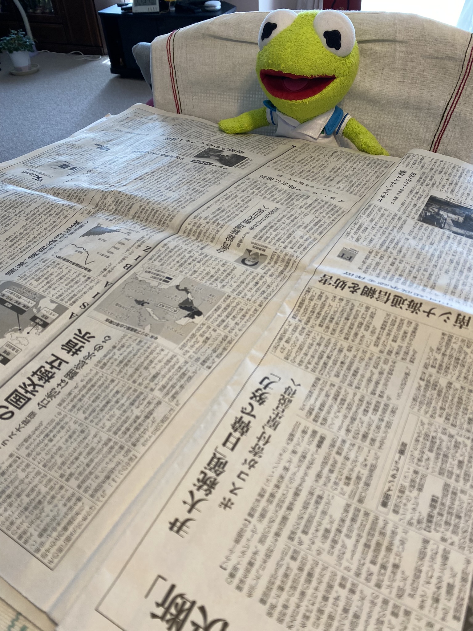 Kermit sitting at the table reading a japanese newspaper.