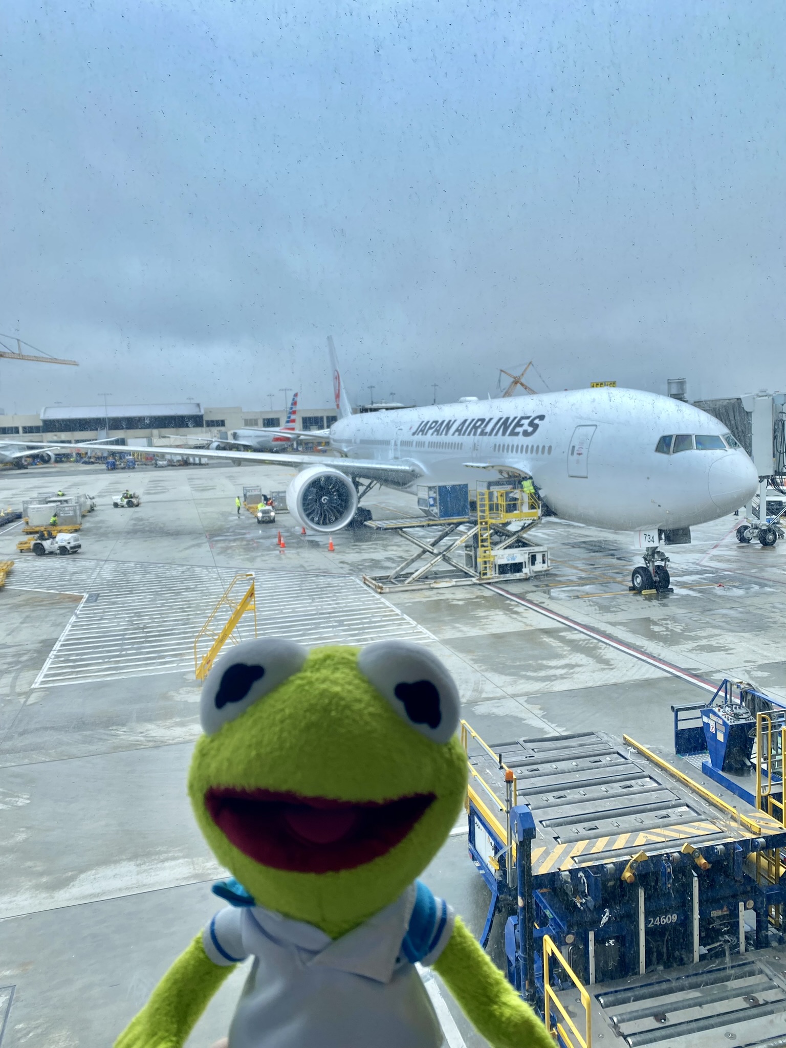 Kermit standing in front of a window in front of the Japan Airlines plane.